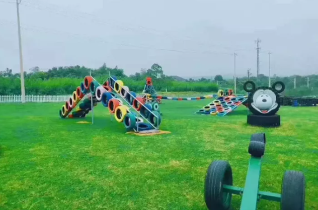 湖州飞鸿滑草场门票图片