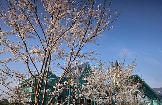 南通鮮花小鎮(zhèn)