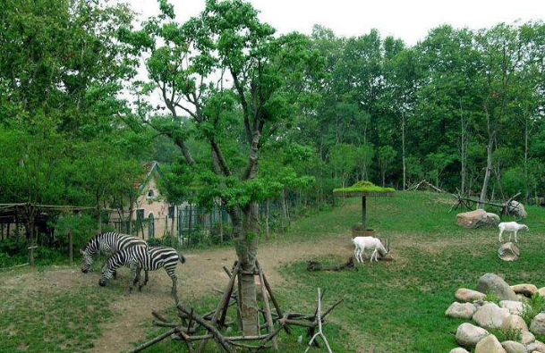桂林动物园