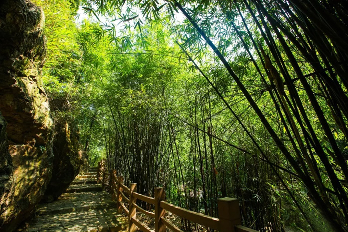 南海灣森林生態(tài)園門票有優(yōu)惠嗎？游玩路線+開放時間