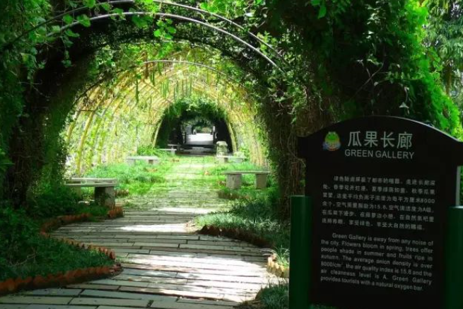 深圳海上田園