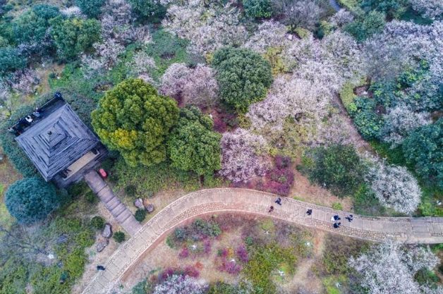杭州超山风景区