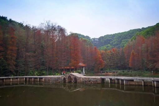 仙湖植物園春節(jié)期間開(kāi)園閉園時(shí)間(附預(yù)約教程)