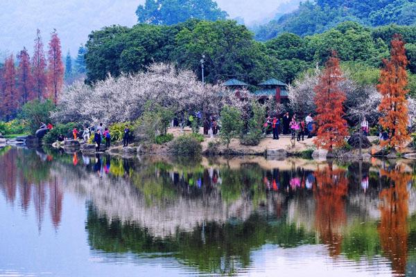 广州春天哪里好玩的景点推荐 广州春季旅游好去处
