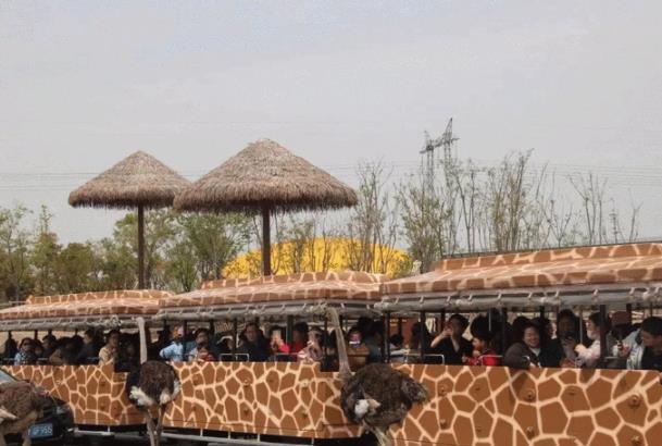 南通野生動物園旅游攻略 兩日游玩行程安排