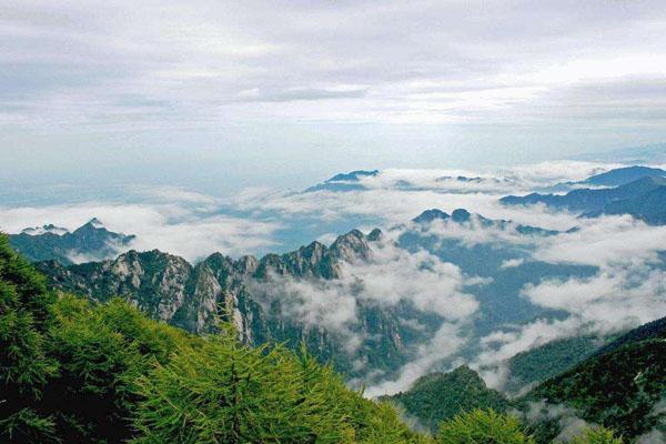 2022太白山森林公園門(mén)票價(jià)格及游玩攻略