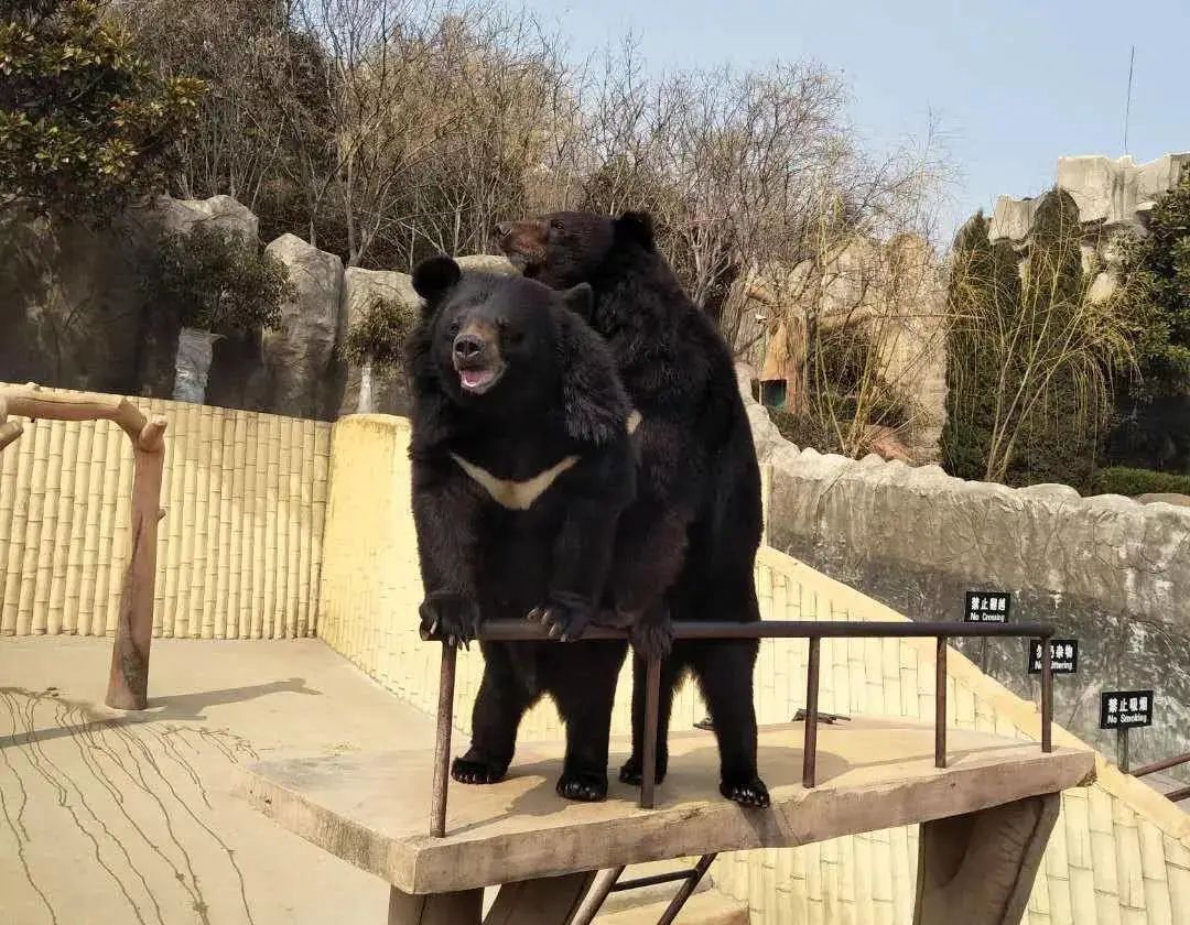 微信圖片_20220303095327.jpg