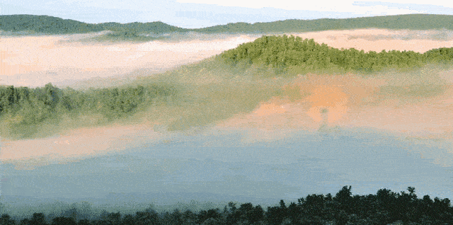 微信图片_20220303141145.gif