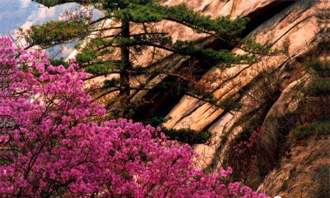 /uploads/image/2022/03/04/4009fd78a44339a4e95ccb2dcce18371.png image.png