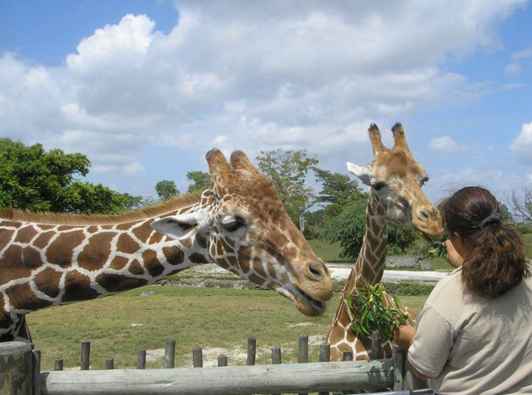 臺(tái)州灣野生動(dòng)物園