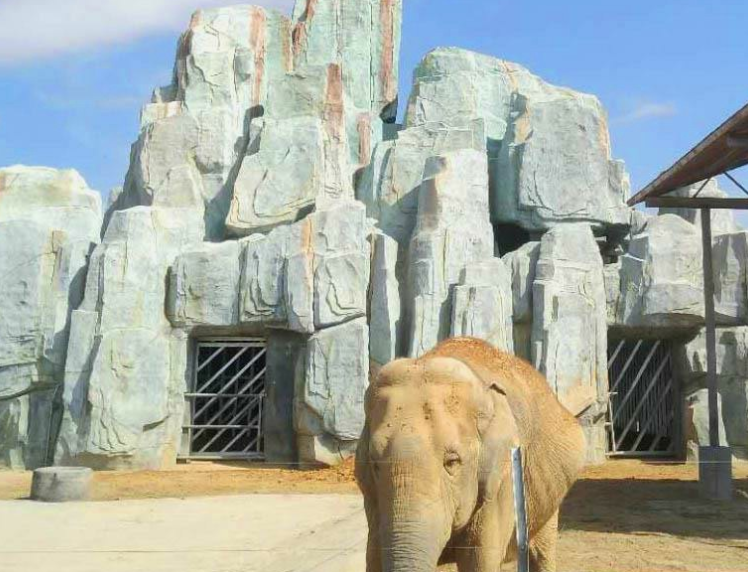 臺(tái)州灣野生動(dòng)物園