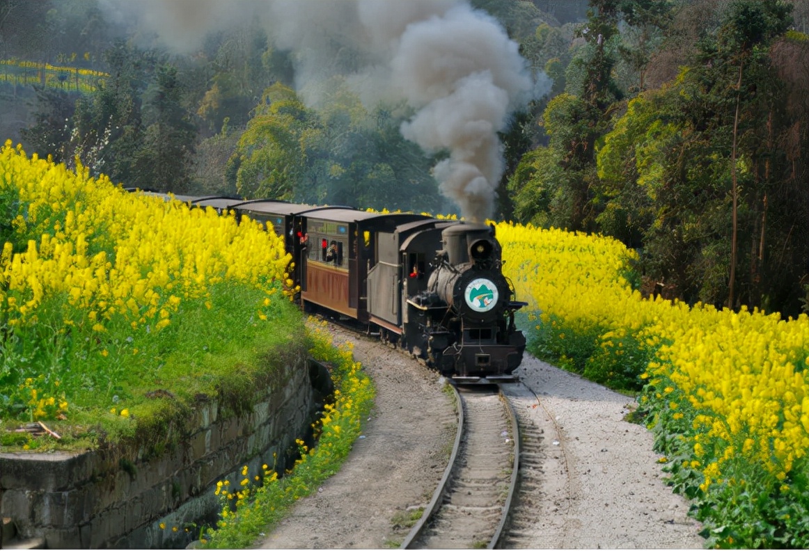 3月最佳旅游地！中國最美的春天在這里，適合帶著家人一起出行