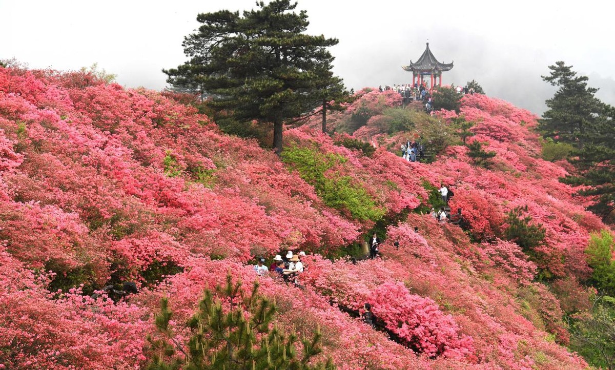 3月份旅游地推薦，最美的春天都在這里了