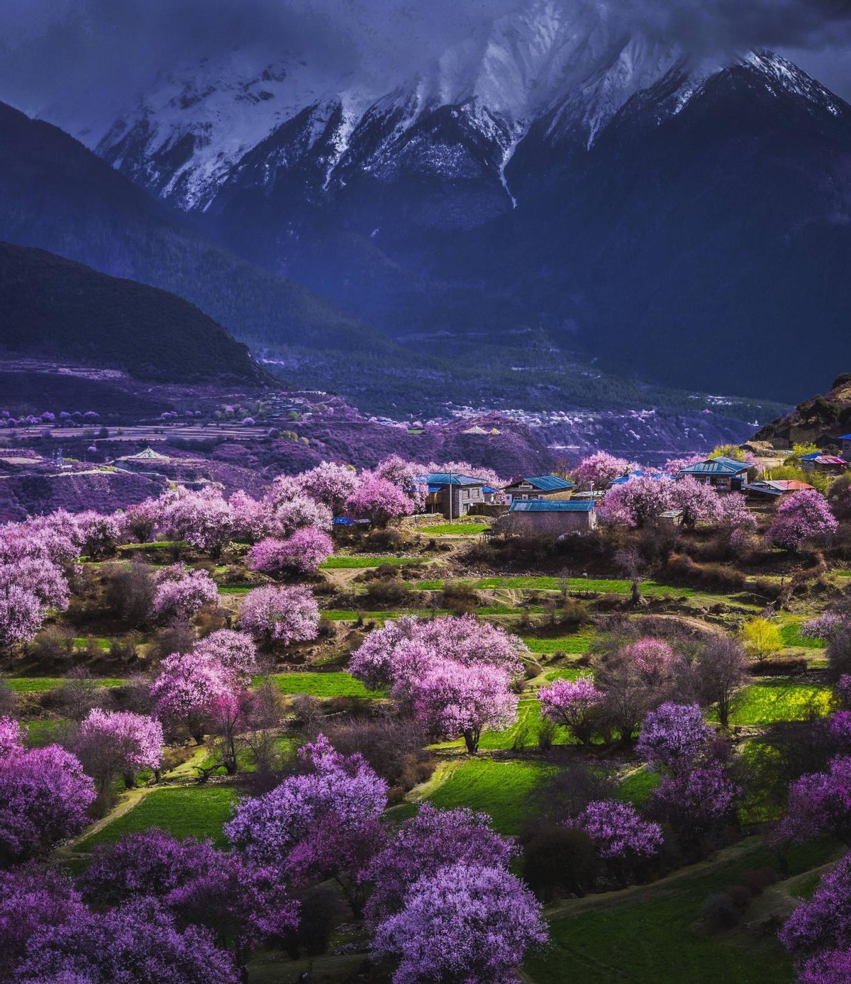 3月份旅游地推薦，最美的春天都在這里了