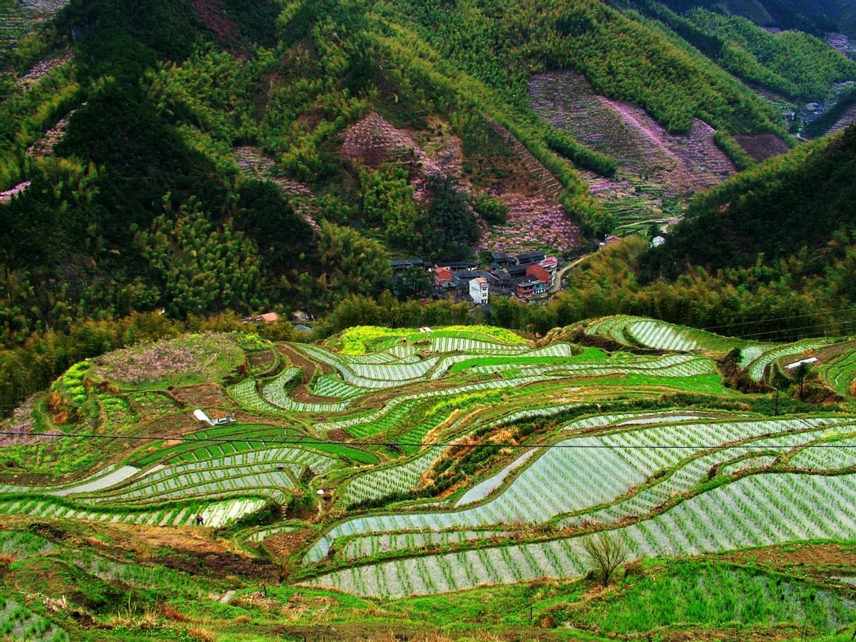 隱藏在浙江麗水的神秘仙境，500多部仙俠劇取景地，你去過嗎？