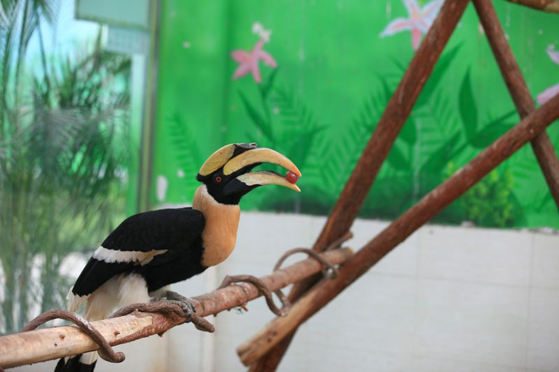 2023鄭州動物園門票多少錢(免費政策 優惠政策)_大河票務網