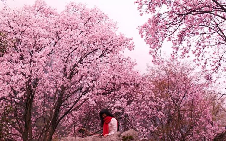 九皇山景區(qū)門(mén)票