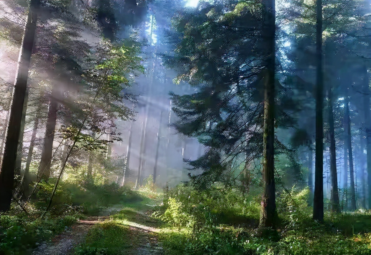 120000亩，河南这个第一大保存很完好的原始森林，瀑布如雾似幻