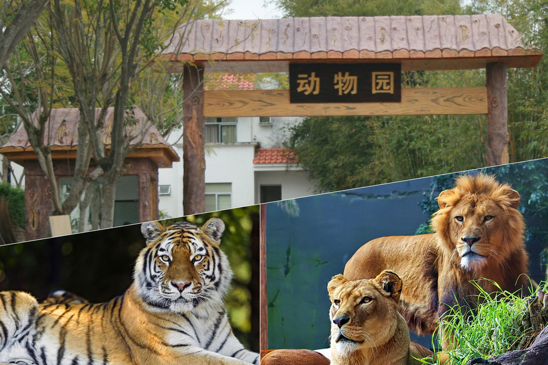 微信圖片_20220318140732.png