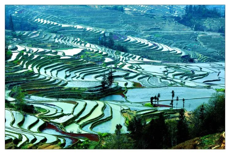 元阳哈尼梯田