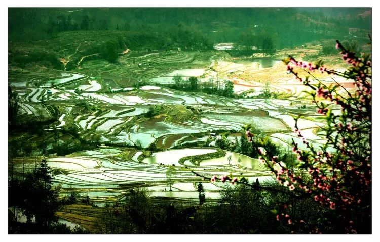 元阳哈尼梯田