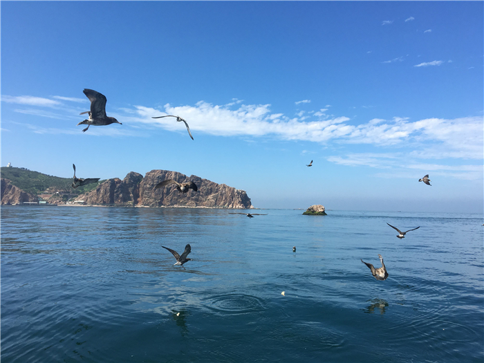 威海海驢島