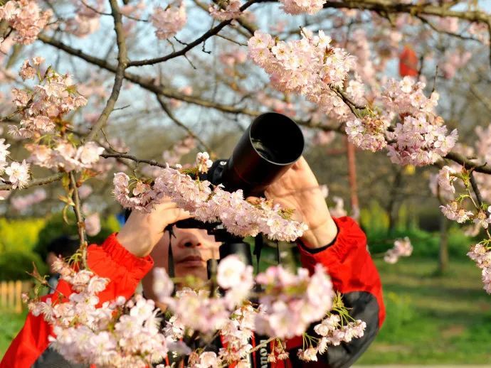 https://r.sinaimg.cn/large/article/1e33e5b4127d87598bafe952d8073b49