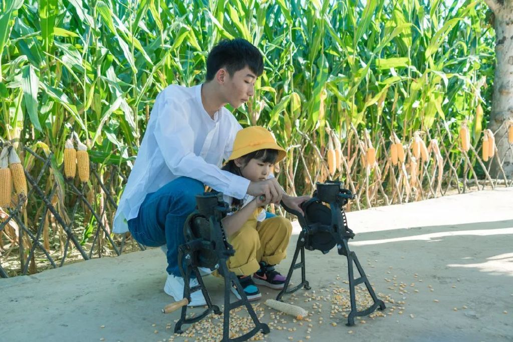 https://r.sinaimg.cn/large/article/b137d62fe4e5b4bcc1920081a44631b1