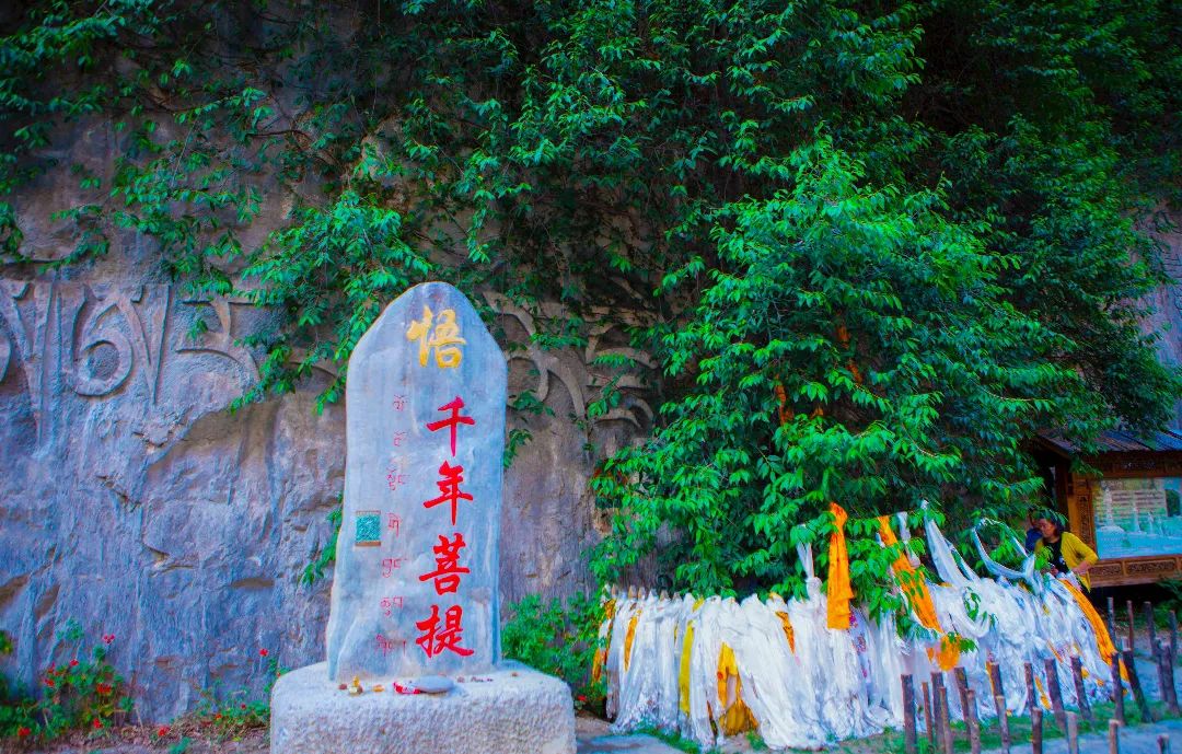 微信图片_20220328135532.jpg