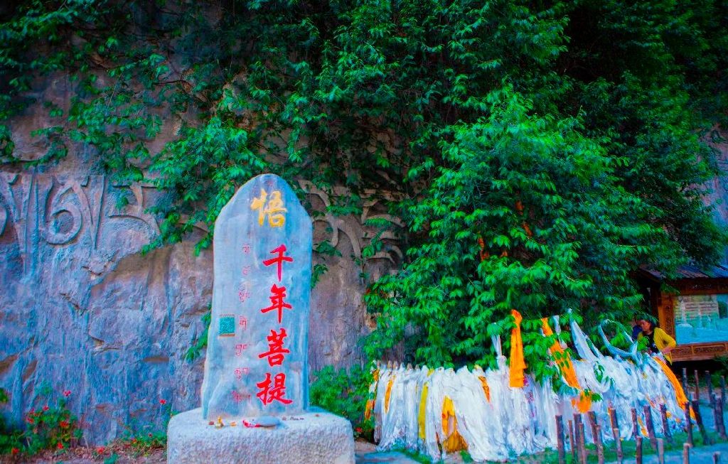https://r.sinaimg.cn/large/article/bccd03edc7746b995128f0fcedbb2552