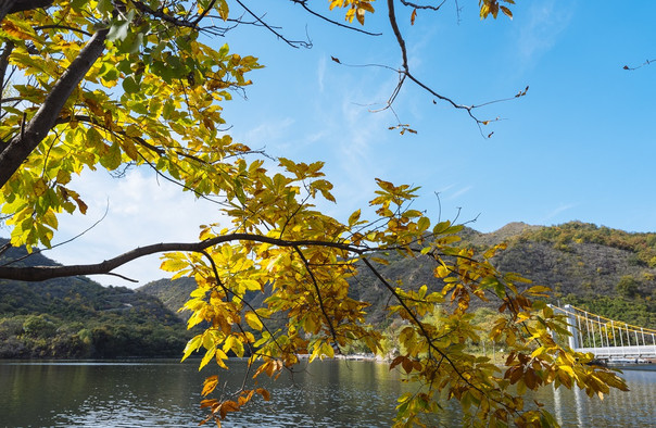 黃花城水長(zhǎng)城門票