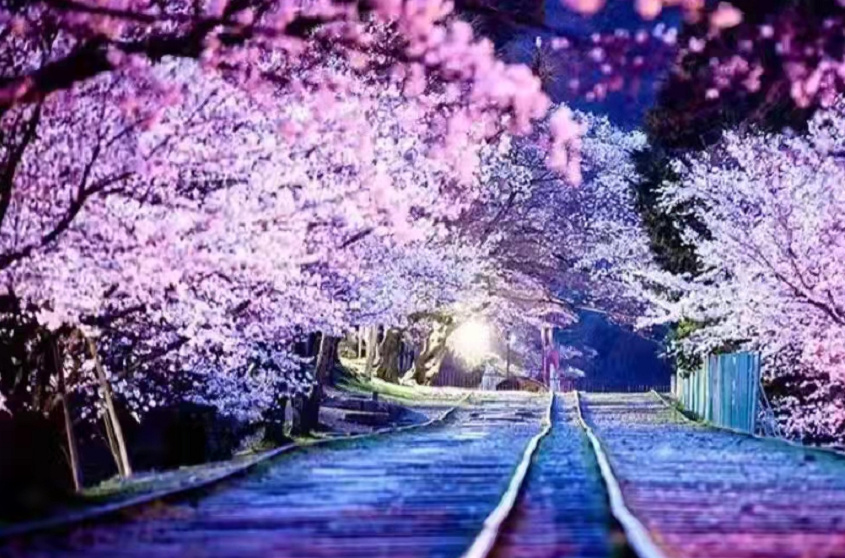 https://r.sinaimg.cn/large/article/3ce7d79220ec60a2496b206850a84974