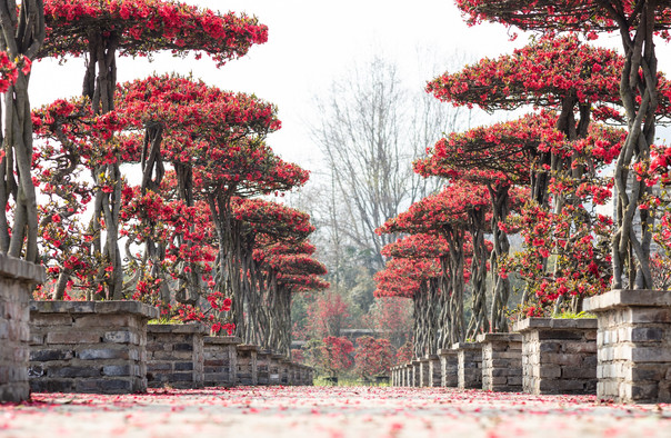 花村門票