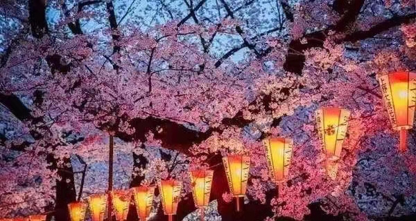 https://r.sinaimg.cn/large/article/e9d9603588e0972ece0b2fc857d02da8