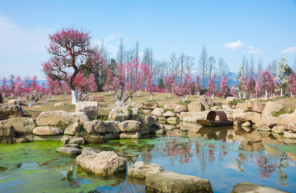 花村门票