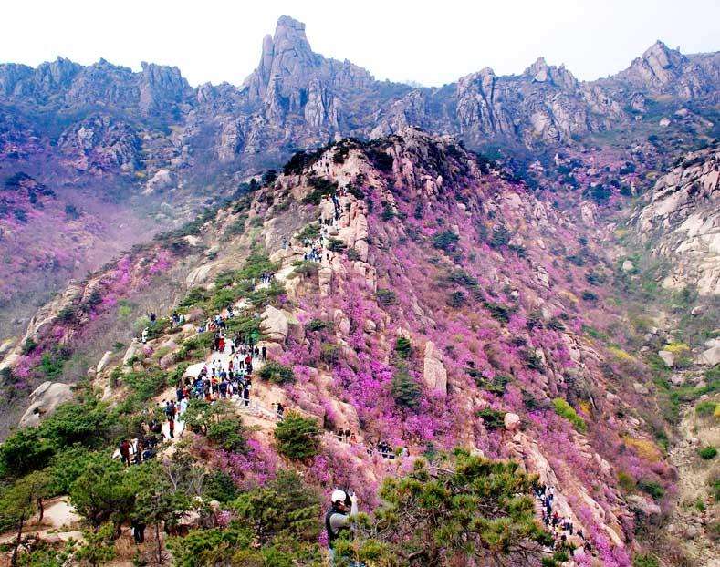 大珠山风景区