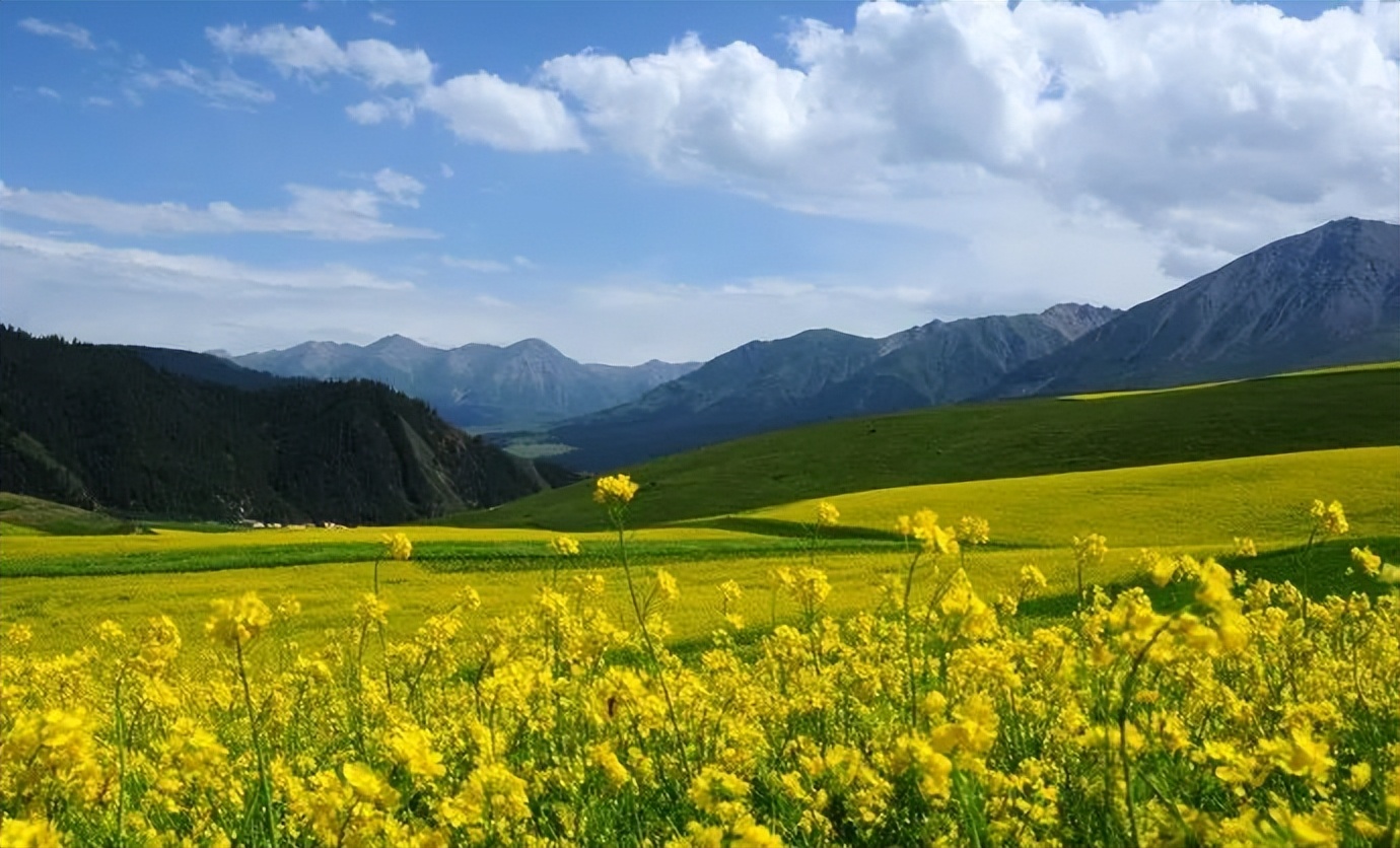 中國最美的9大草原，一輛車，三五好友，就可以馳騁在草原上