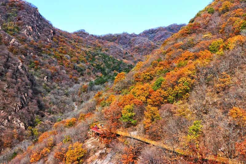 梨木臺風景區(qū)門票