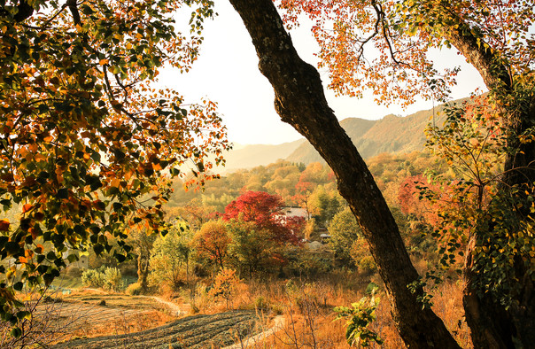 塔川门票