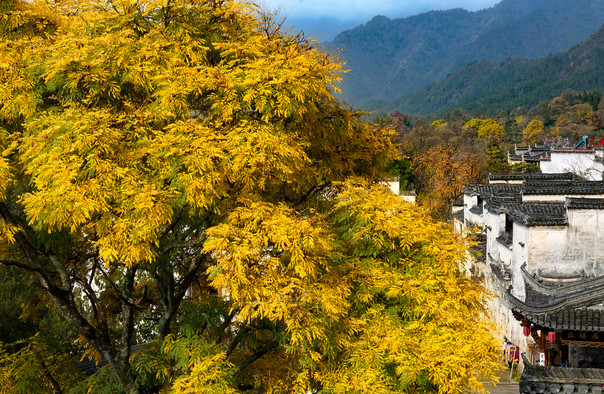 塔川门票