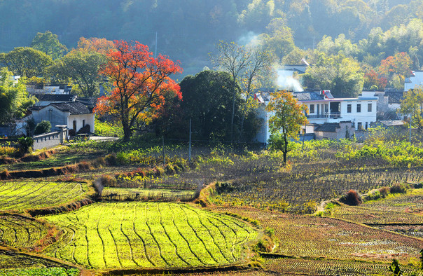 塔川门票