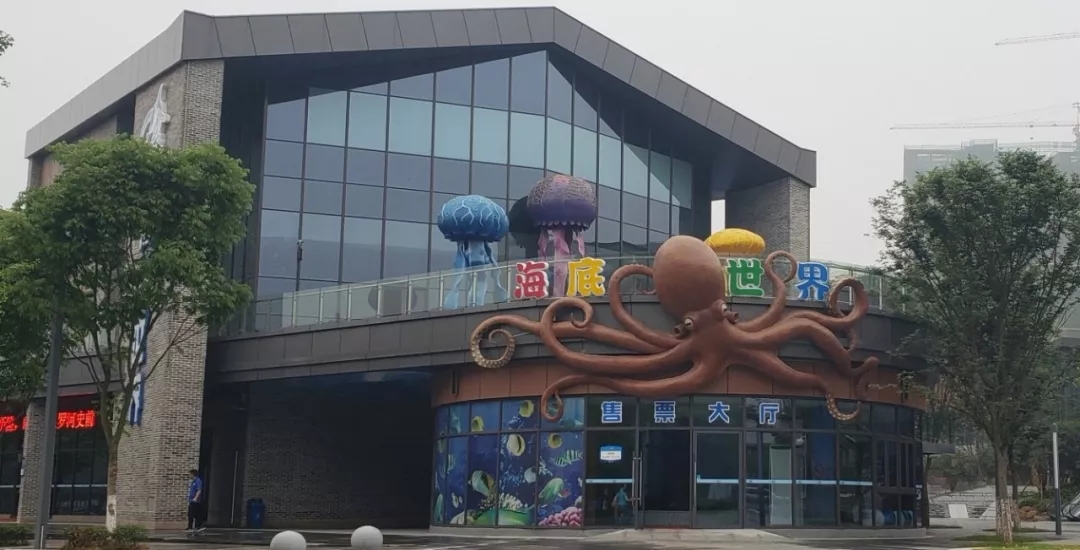 宜昌海洋馆图片