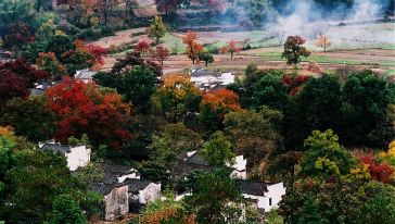 塔川秋色（定）