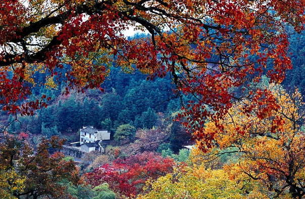 塔川门票