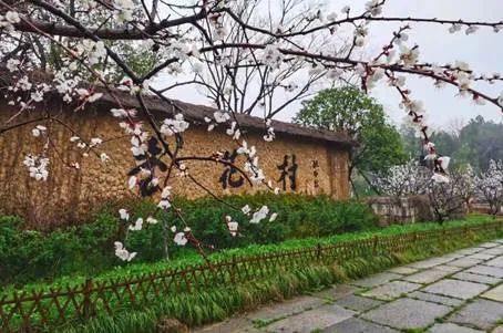 微信图片_20220413141640.jpg