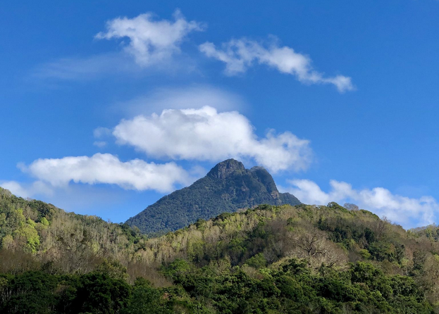 海南热带雨林国家公园门票