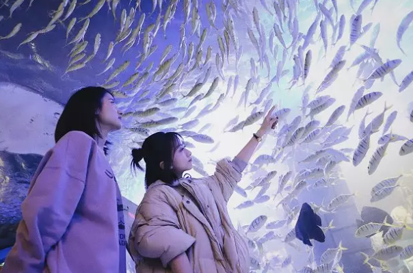 镜湖湿地海洋世界门票