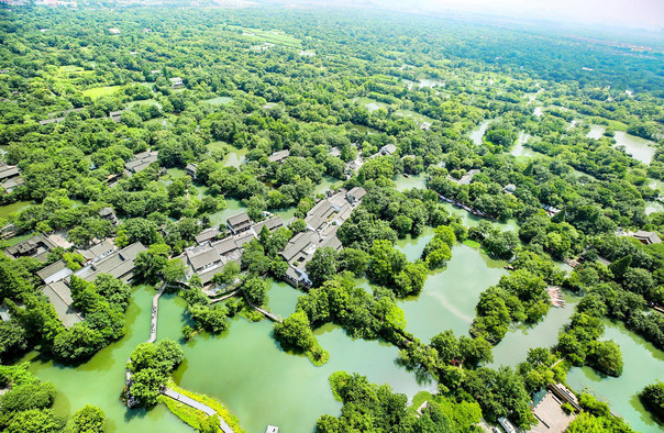 杭州西溪氦气球