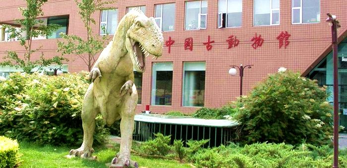 中国古动物馆