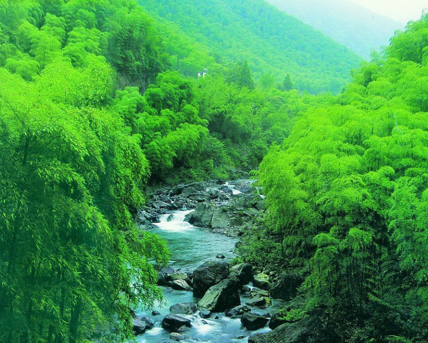 三峡竹海